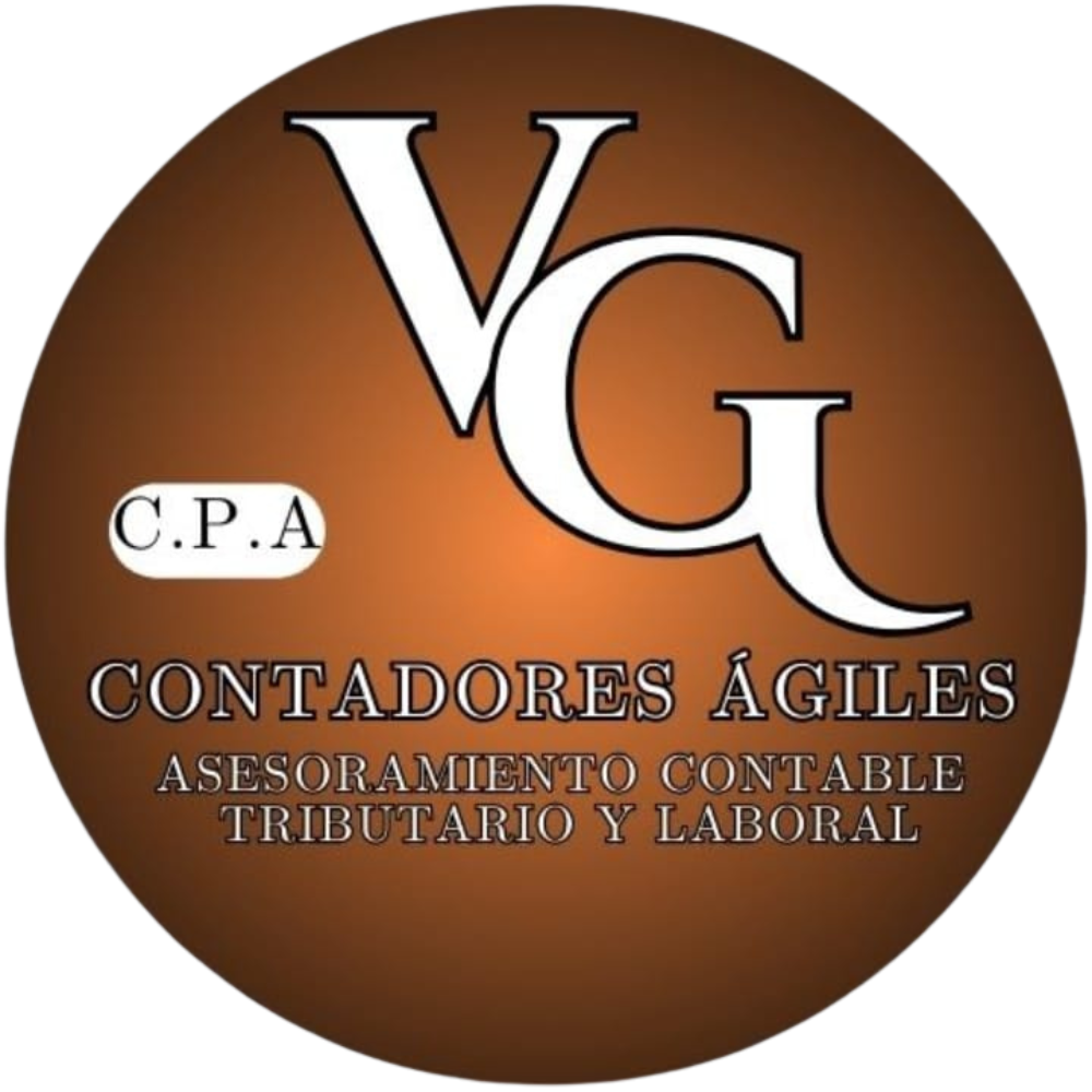 VG Contadores | Gestión Contable y Tributaria con Experiencia